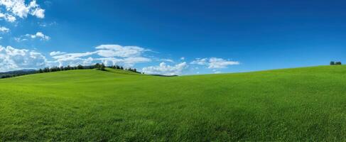 The vast green landscape under a bright blue sky with fluffy clouds. photo