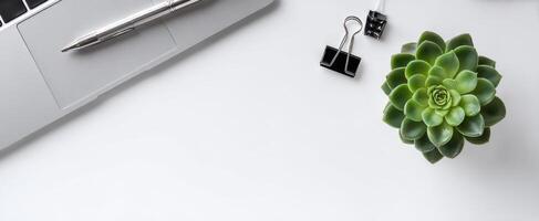 The stylish succulent plant alongside modern office accessories on a clean workspace. photo