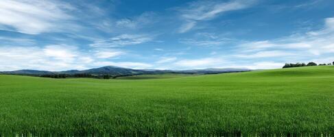 The expansive green fields under a vibrant blue sky with distant mountains. photo