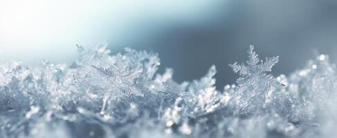 The Beautiful Detail of Snowflakes Glimmering Under Soft Light photo
