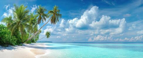The serene beach surrounded by lush palm trees and crystal-clear waters. photo