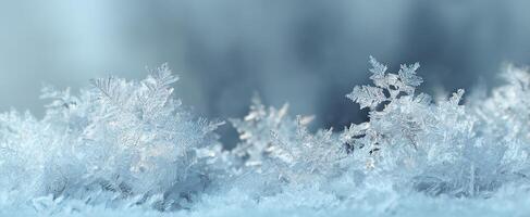 The frost-covered landscape showcasing intricate ice crystals in winter serenity. photo