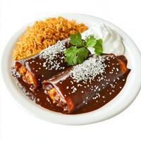 A plate of chicken mole enchiladas, chicken enchiladas smothered in a complex mole sauce, made with chilies, chocolate, and spices, served with rice and beans and garnished with sesame seeds, isolated photo