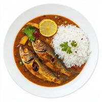 A plate of goan fish curry, with fish cooked in a tangy coconut and kokum sauce, served with rice and a side of vegetable xacuti, isolated on clean white background. photo