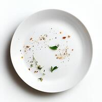 A dish with an emphasis on minimalist design, perhaps a few carefully placed ingredients on a large, empty plate, drawing attention to their individual beauty and highlighting the concept of 'less is photo