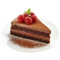 A decadent slice of chocolate mousse cake, with layers of rich, dark chocolate mousse and moist chocolate cake, topped with a dusting of cocoa powder and fresh raspberries, served on a delicate dessert plate, showcasing the elegance of French pastry, isol photo