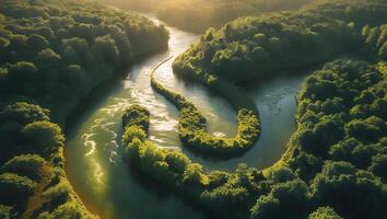 Aerial View of River Meandering Through Lush Green Forest at Sunset photo