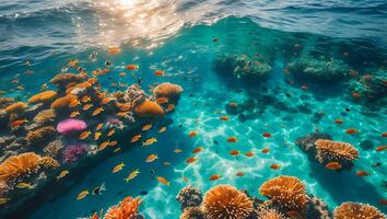 Underwater Coral Reef Ecosystem with Sunlight and Vibrant Marine Life photo