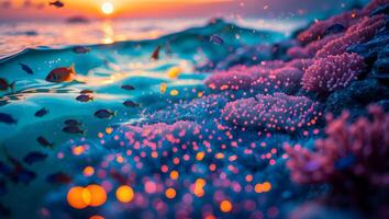 Fish Swim in Ocean at Sunset with Coral and Water Reflections photo