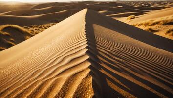 Exploring Golden Sand Dune Patterns at Sunrise in Vast Desert photo