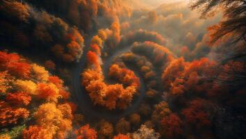 Winding Road Curves Through Vibrant Autumn Forest Landscape From Above photo