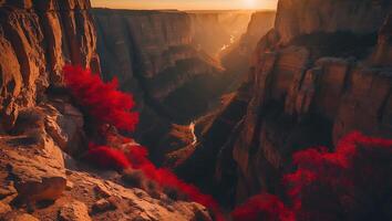 Dramatic Canyon Landscape with Red Trees and Golden Sunlight photo