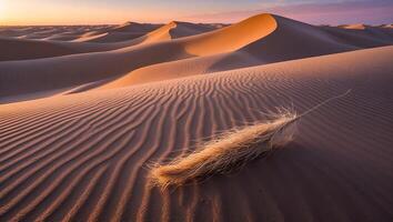 Desert Landscape with Sand Dune and Feather at Sunset photo