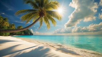 Relaxing Tropical Beach Scenery Palm Tree Overhanging White Sand Coast photo