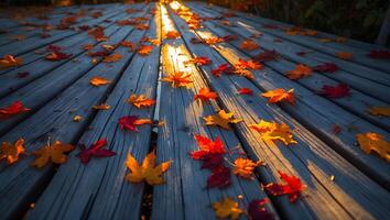 Fallen Autumn Maple Leaves on a Wooden Deck at Sunset photo