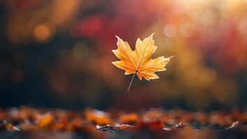 Falling Leaf Captures Autumnal Essence in Colorful Forest Ambiance photo