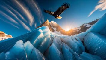 Eagle Flying Over Glacier Landscape with Mountains and Blue Sky photo
