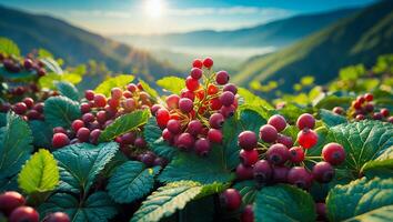 Ripe Red Berries Growing on Bush in Mountain Landscape Setting photo