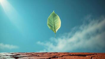 Single Green Leaf Against Bright Blue Sky with Cloudscape Backdrop photo
