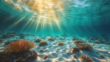 Sunlight Shining Underwater on Coral Reef and Sandy Ocean Floor photo