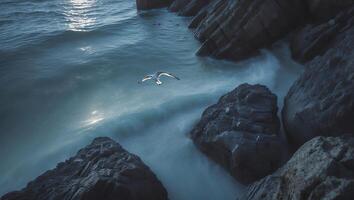 Seagull Flying Over Ocean Waves Near Rocky Coast photo