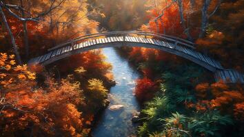 Autumn Bridge Over River in Colorful Forest photo
