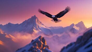 Eagle Soaring Over Snow-covered Mountains at Sunset with a Colorful Sky photo