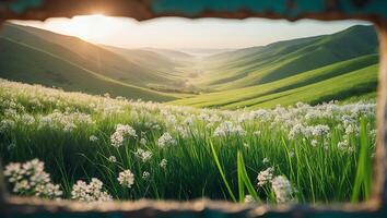 Viewing Green Hills Through Flowers in a Frame at Sunrise photo
