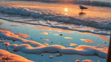 Seagull Standing on Sandy Beach at Sunrise with Waves and Foam photo