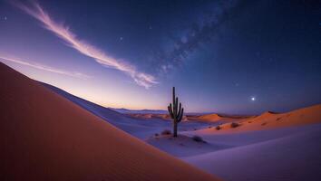 Desert Landscape with Cactus and Starry Night photo