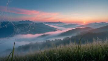 Mountain Sunrise with Fog and Cobweb Landscape photo