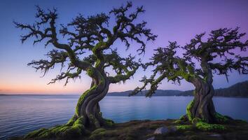 Two Trees on Cliff Overlooking Ocean at Dusk photo