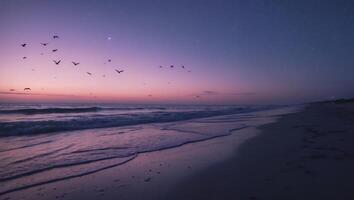 Ocean Beach at Dusk with Birds Flying and Colorful Sky photo