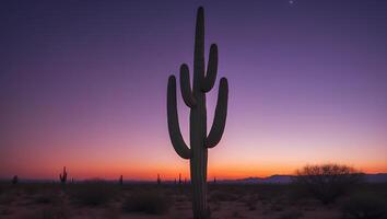 Cactus Silhouette Against a Vibrant Sunset Sky in Desert Landscape photo