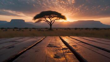 Savannah Landscape with Wooden Table and Acacia Tree at Sunset photo