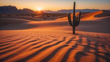 Cactus in Desert Sand Dunes at Sunset with Warm Light photo