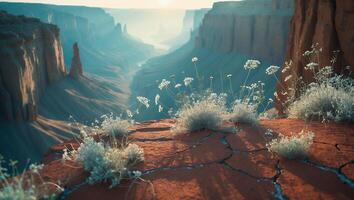 Overlooking Grand Canyon Views with Wildflowers on Rocky Outcrop photo