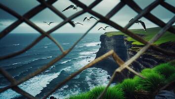 Seagulls Flying Above Coastal Cliffs Viewed Through Fence photo