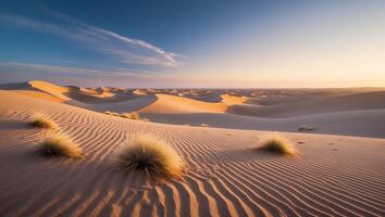 Desert Sand Dunes at Sunset with Grass and Clear Sky photo