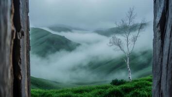 Foggy Green Hills Landscape with Lone Tree and Wooden Frame View photo