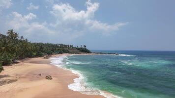 Beautiful sandy beach with resort villa and clear skies blue ocean background. video