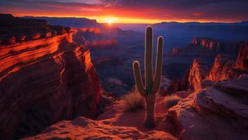 Cactus Silhouette at Sunset Over Majestic Grand Canyon Landscape photo