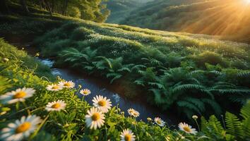 Daisies Blooming Near Stream at Sunrise in Peaceful Natural Setting photo