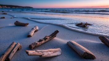 Driftwood Scattered on Sandy Beach at Sunset Ocean Wave photo