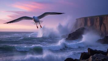 Seagull Flying Over Crashing Waves at Coastal Cliffs at Sunset photo