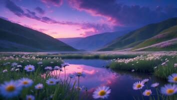 Daisies Field by Water Reflecting Sky at Sunset with Rolling Hills photo