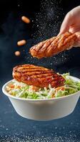 Seasoning Chicken with slaw in bowl on dark background. Use menu, recipe, food blog photo