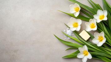 Tulip arrangement with butter salt on concrete backdrop for cookbook or healthy lifestyle ads photo