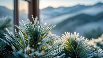 Frosty Pine Branch with Mountain View at Sunrise Creates Serene Scene photo
