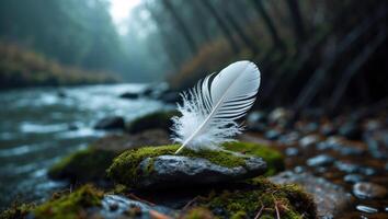 White Feather Resting on Mossy Rock by Flowing Stream photo
